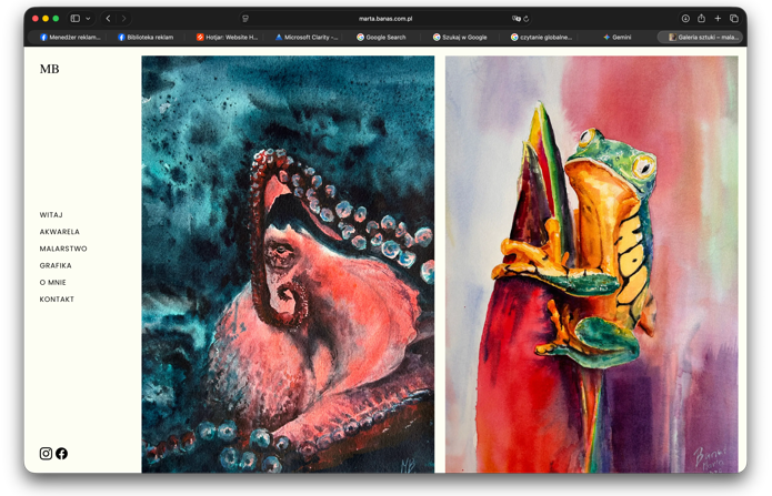 zrzut ekranu strony etuifrio.pl