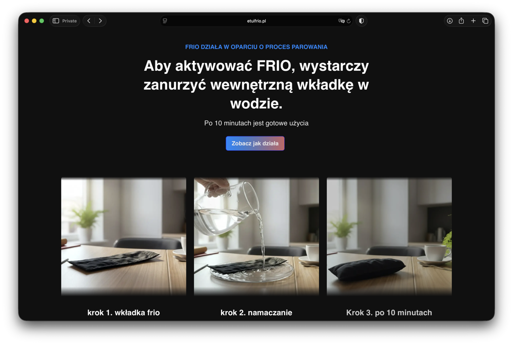 infografika landing page